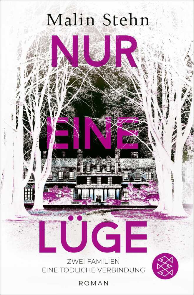 Nur eine Lüge - Zwei Familien, eine tödliche Verbindung (Malin Stehn)