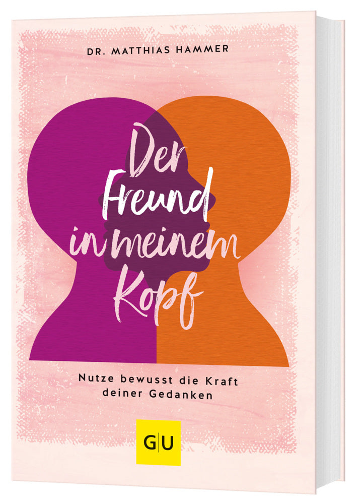 Der Freund in meinem Kopf (Matthias Hammer)