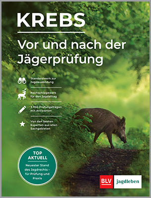 Vor und nach der Jägerprüfung (Herbert Krebs)