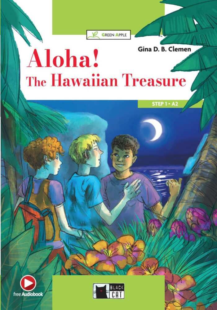 Aloha! The Hawaiian Treasure (Gina D. B. Clemen)