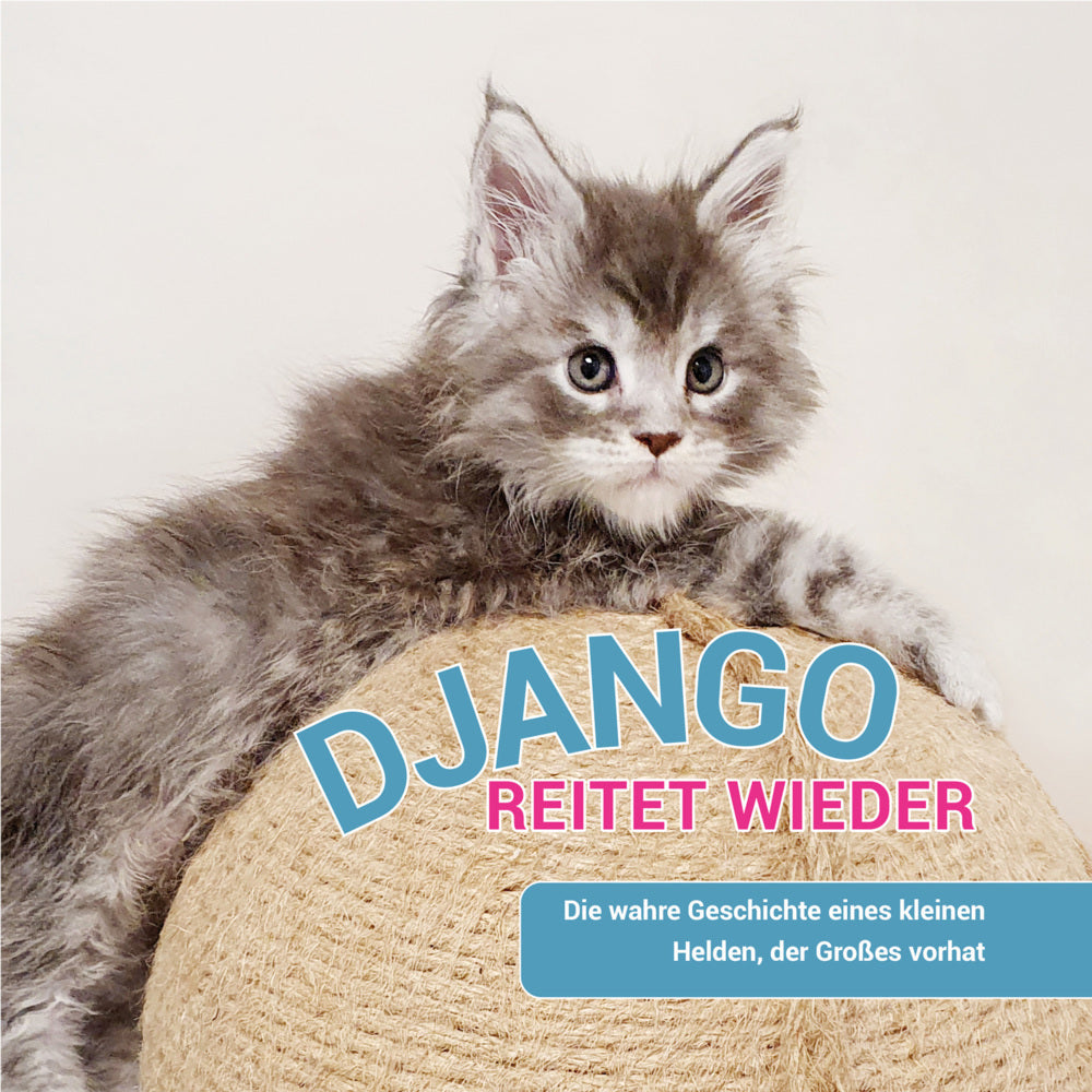 Django reitet wieder (Susanne Jarolim)