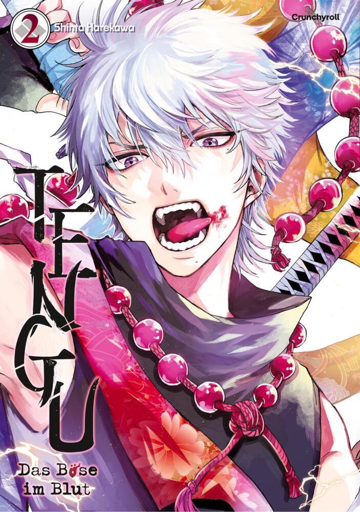 Tengu - Das Böse im Blut - Band 2 (Shinta Harekawa)