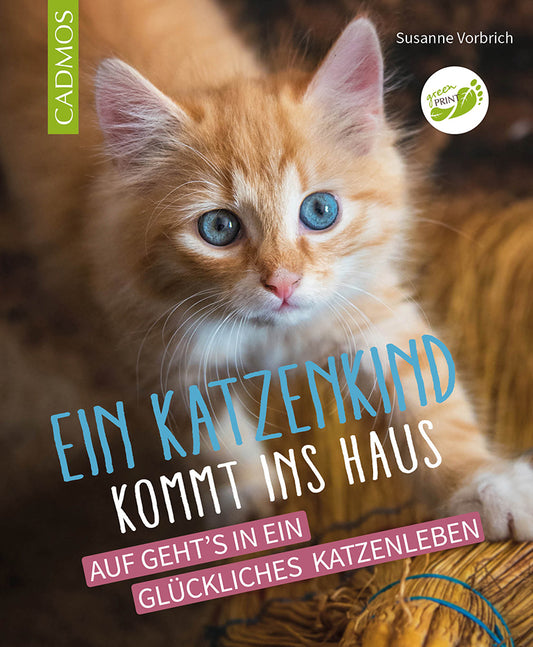 Ein Katzenkind kommt ins Haus (Susanne Vorbrich)