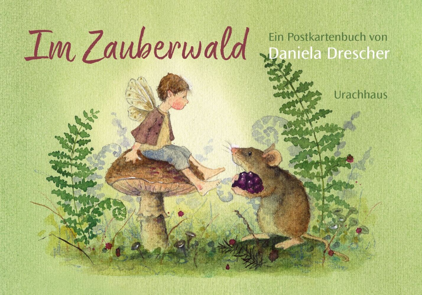 Postkartenbuch »Im Zauberwald« (Daniela Drescher)