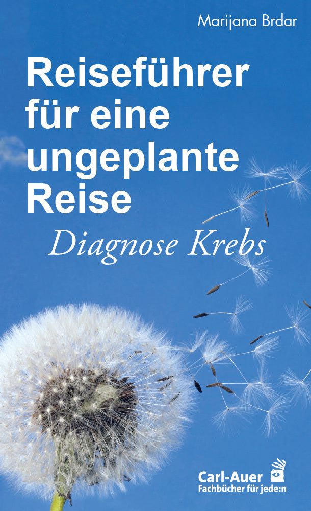Reiseführer für eine ungeplante Reise (Marijana Brdar)