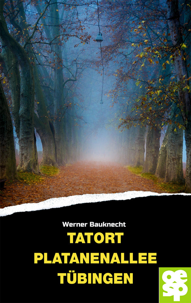 Tatort Platanenallee Tübingen (Werner Bauknecht)