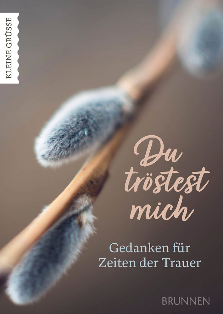 Du tröstest mich (Christine Benda)