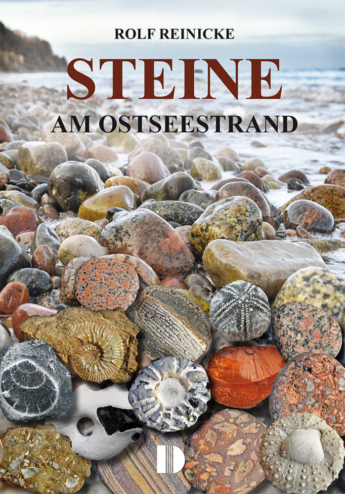 Steine am Ostseestrand (Rolf Reinicke)