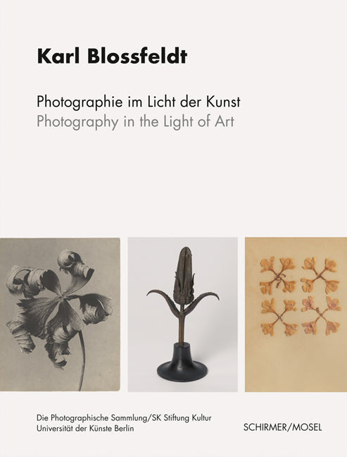 Photographie im Licht der Kunst / Photography in the Light of Art (Karl Bloßfeldt)