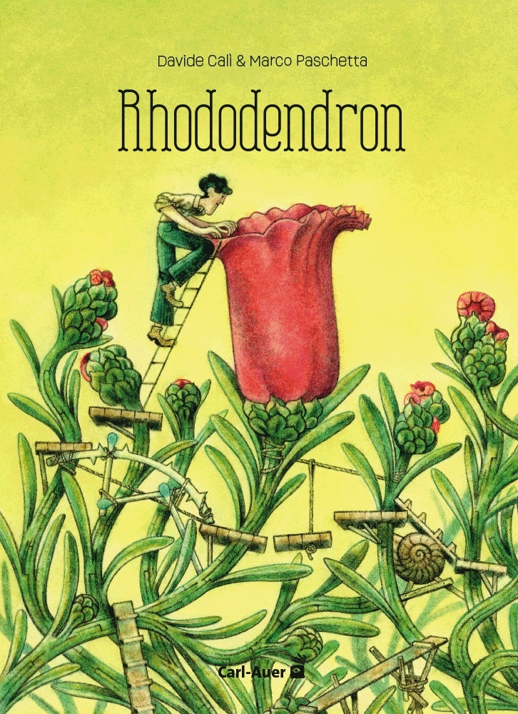 Rhododendron (Davide Calì)