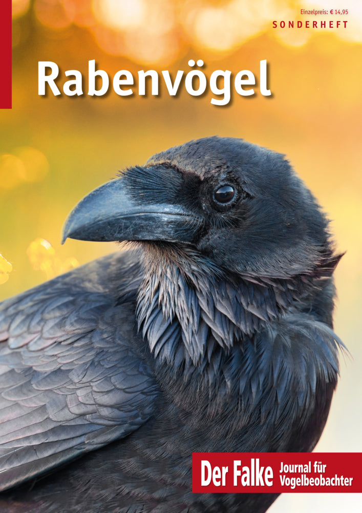 Rabenvögel (Redaktion Der Falke)