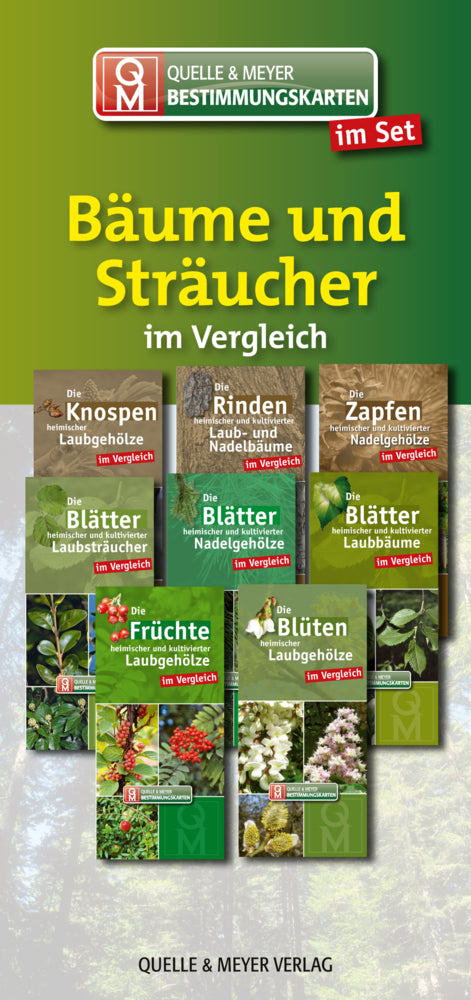 Bestimmungskarten-Set "Bäume und Sträucher" (Quelle & Meyer Verlag)