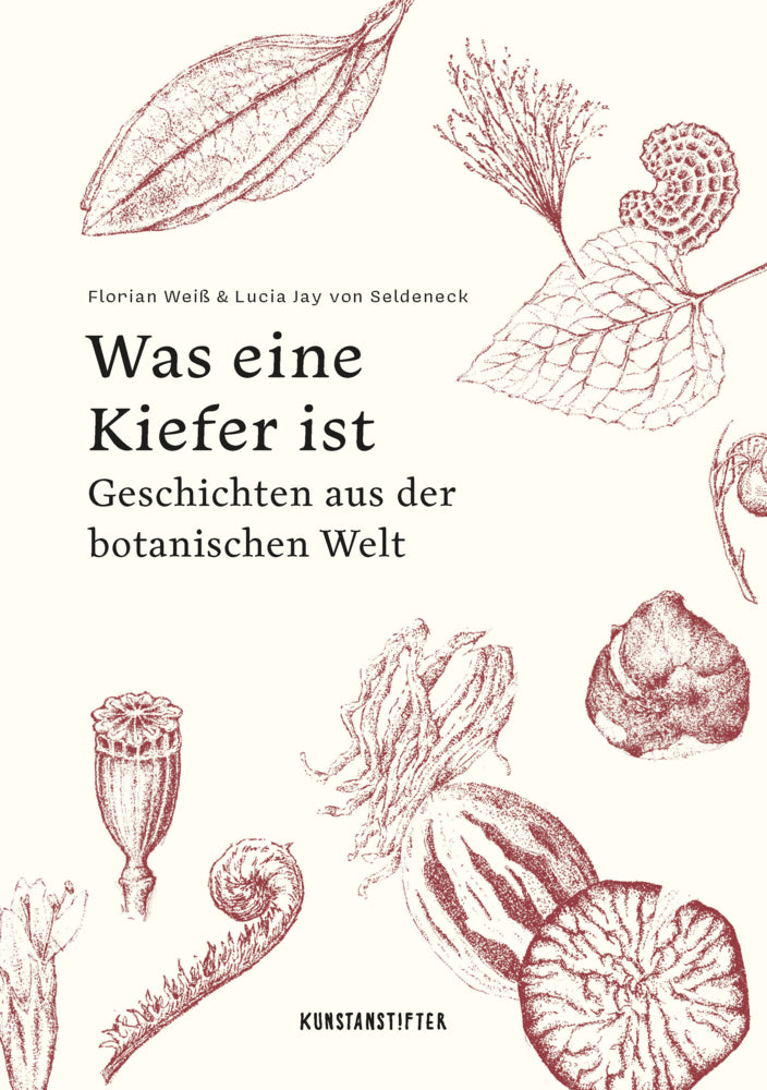 Was eine Kiefer ist (Lucia Jay Von Seldeneck)