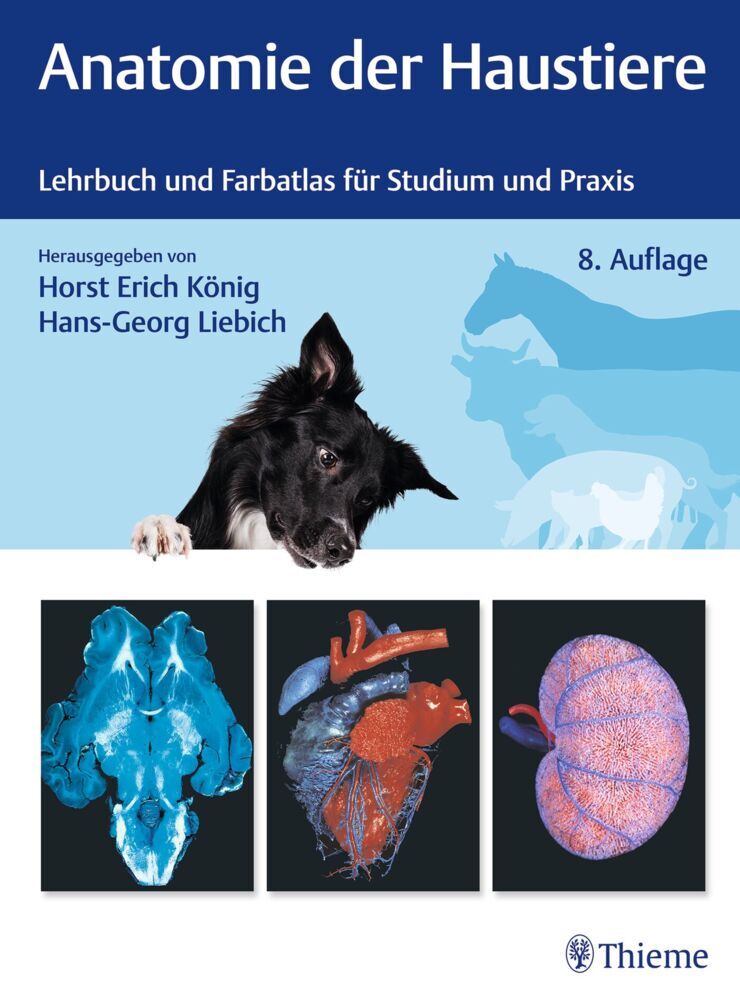 Anatomie der Haustiere (Horst Erich König)