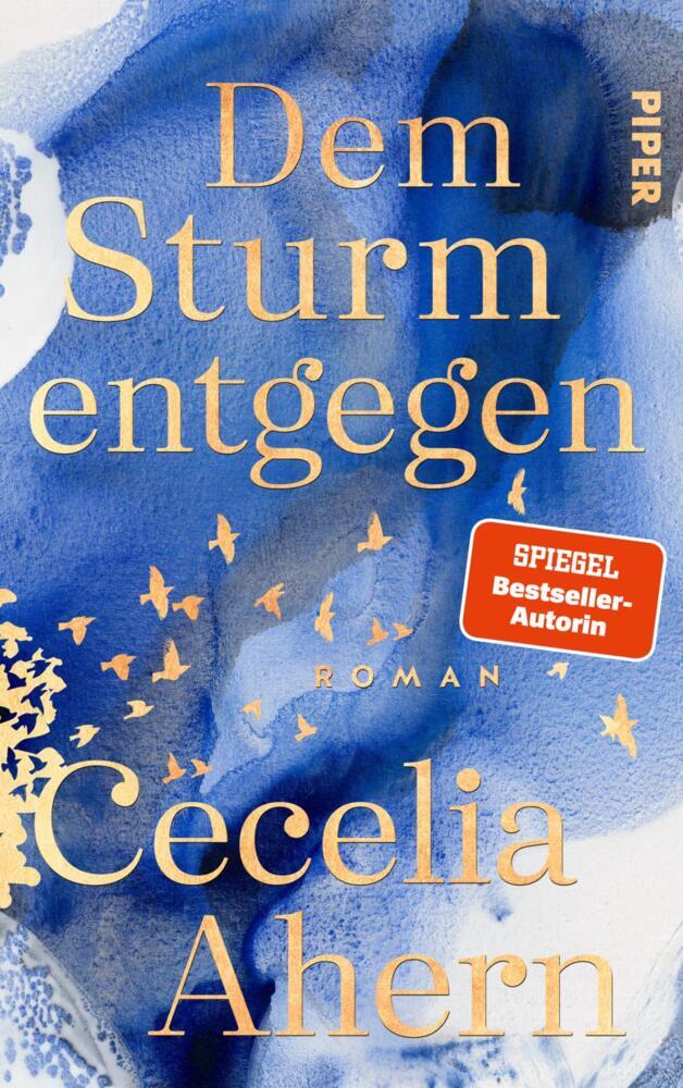 Dem Sturm entgegen (Cecelia Ahern)