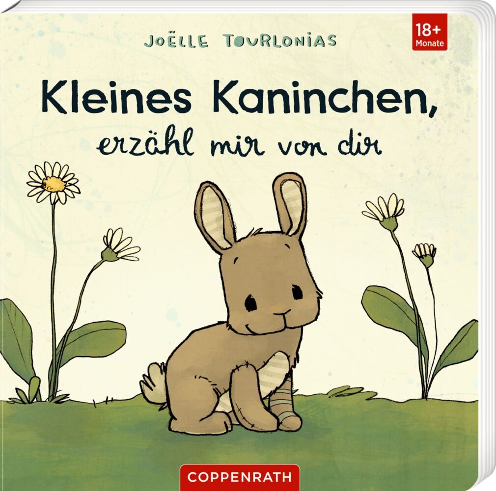Kleines Kaninchen, erzähl mir von dir (Joëlle Tourlonias)