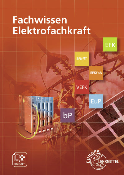 Fachwissen Elektrofachkraft (Gregor Häberle)