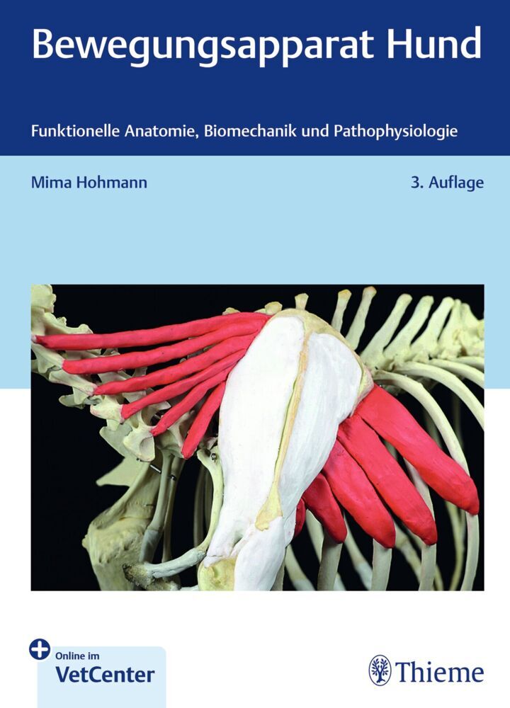 Bewegungsapparat Hund (Mima Hohmann)