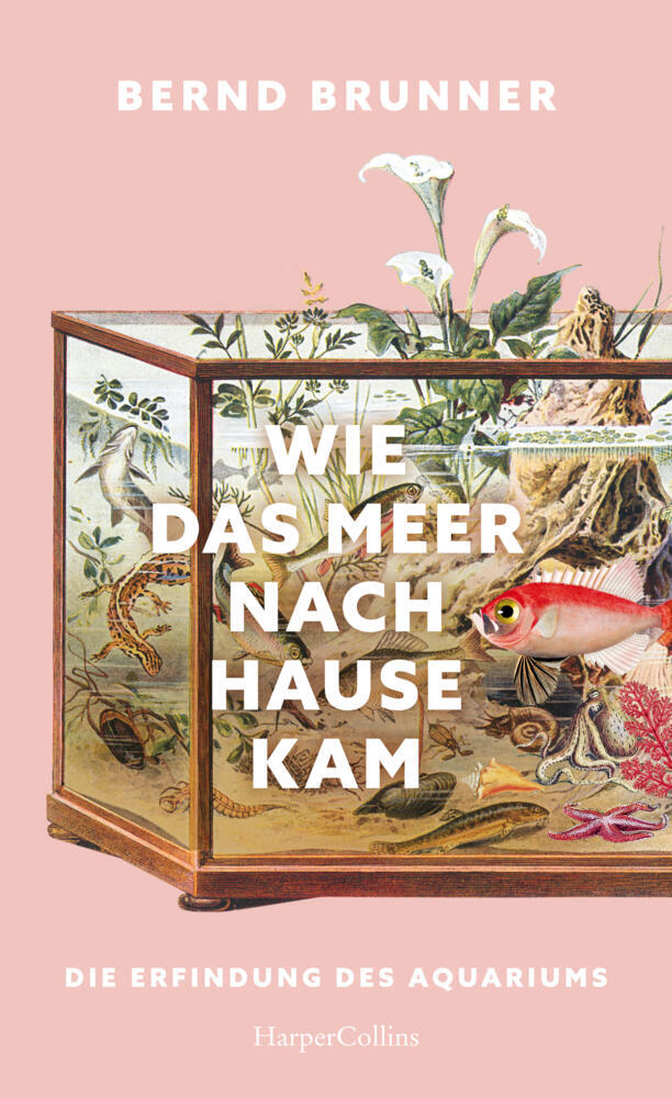 Wie das Meer nach Hause kam. Die Erfindung des Aquariums (Bernd Brunner)