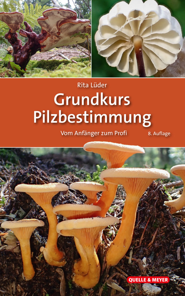 Grundkurs Pilzbestimmung (Rita Lüder)