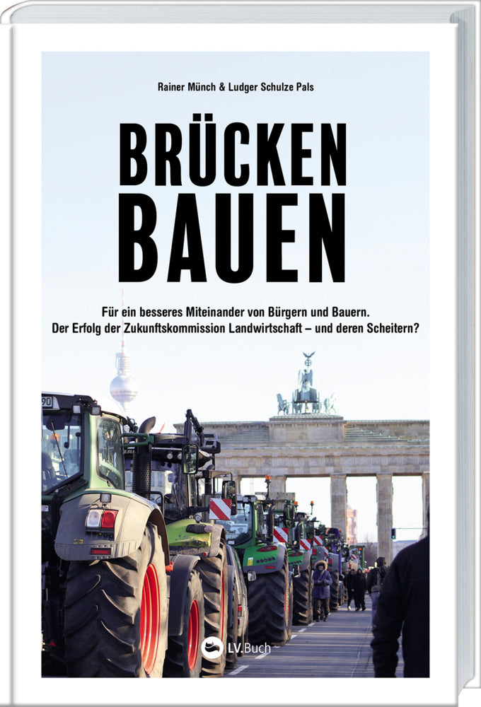 Brücken bauen (Rainer Münch)