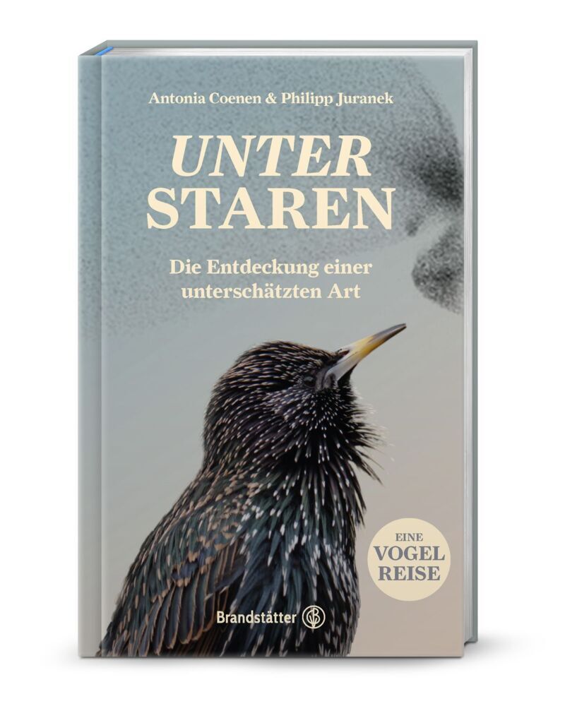 Unter Staren (Antonia Coenen)