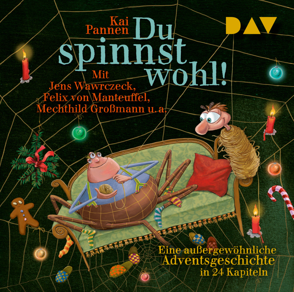 Du spinnst wohl! Eine außergewöhnliche Adventsgeschichte in 24 Kapiteln, 2 Audio-CD (Kai Pannen)