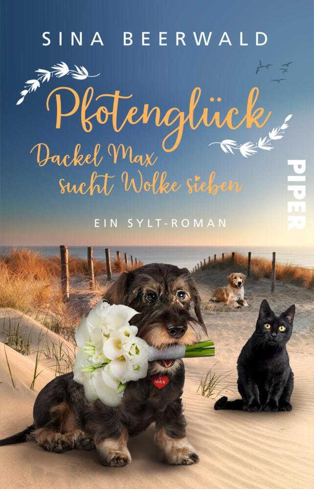 Pfotenglück - Dackel Max sucht Wolke sieben (Sina Beerwald)