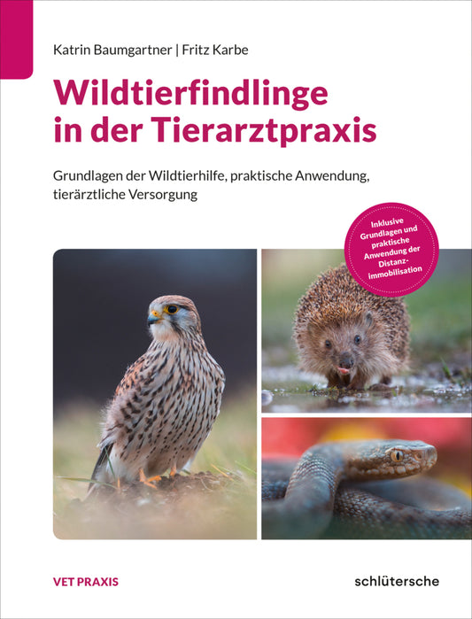 Wildtierfindlinge in der Tierarztpraxis (Katrin Baumgartner)