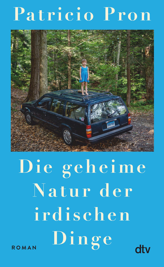 Die geheime Natur der irdischen Dinge (Patricio Pron)