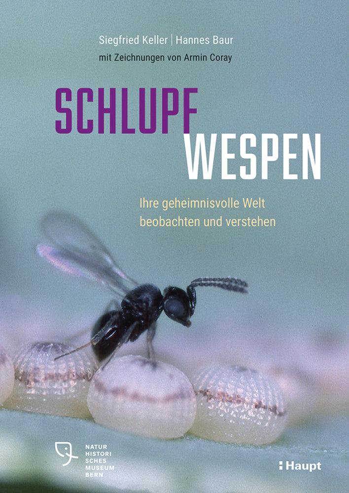 Schlupfwespen (Siegfried Keller)