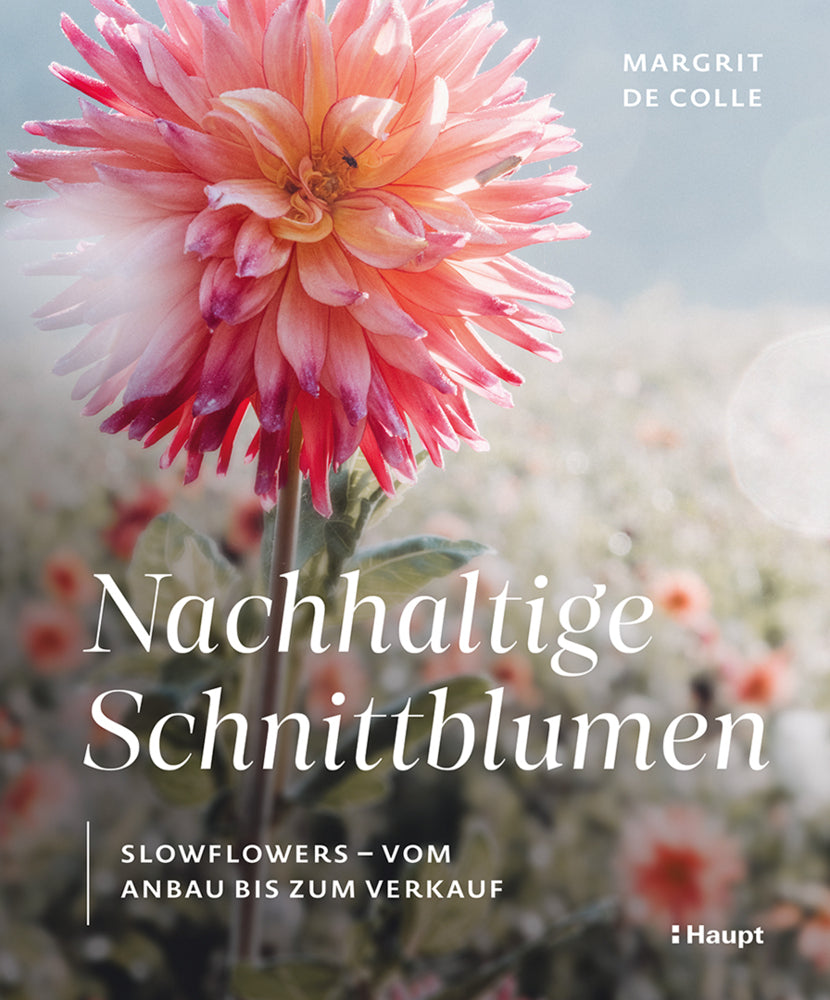 Nachhaltige Schnittblumen (Margrit De Colle)