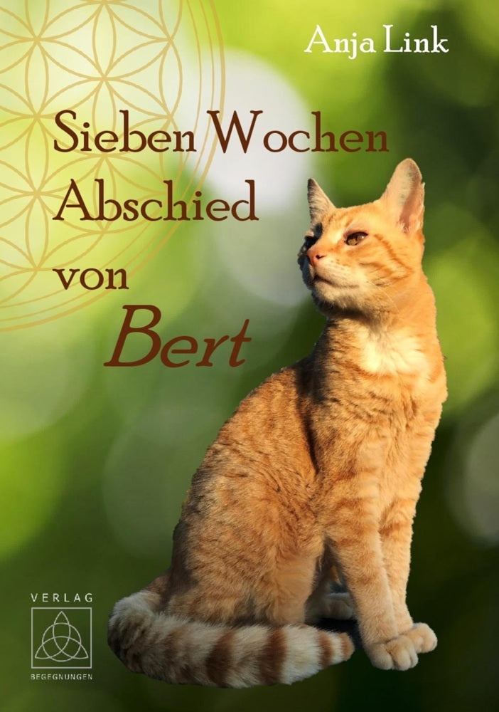 Sieben Wochen Abschied von Bert (Anja Link)