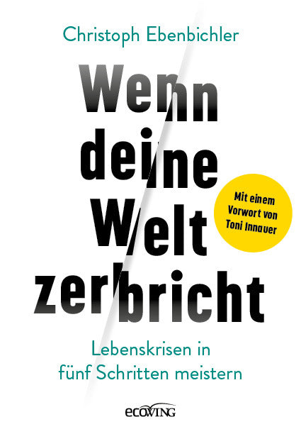 Wenn deine Welt zerbricht (Christoph Ebenbichler)