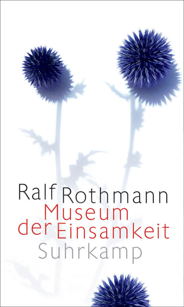 Museum der Einsamkeit (Ralf Rothmann)