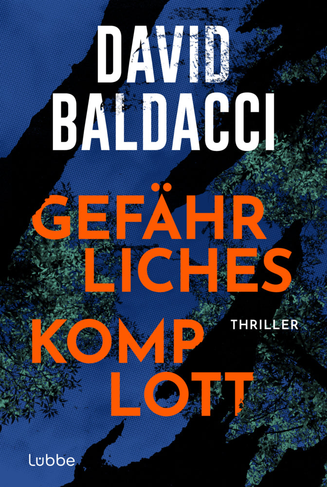 Gefährliches Komplott (David Baldacci)