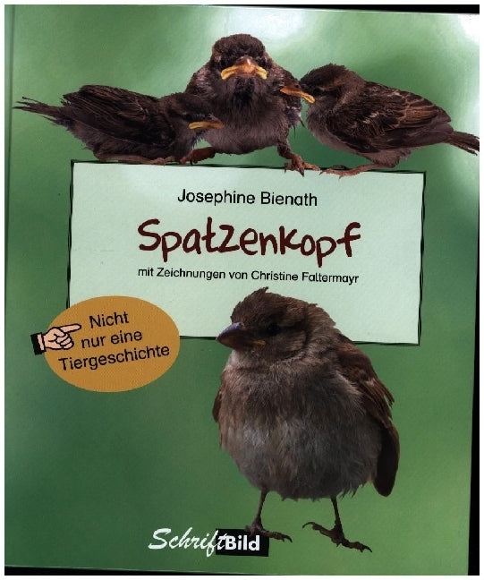 Spatzenkopf (Josephine Bienath)