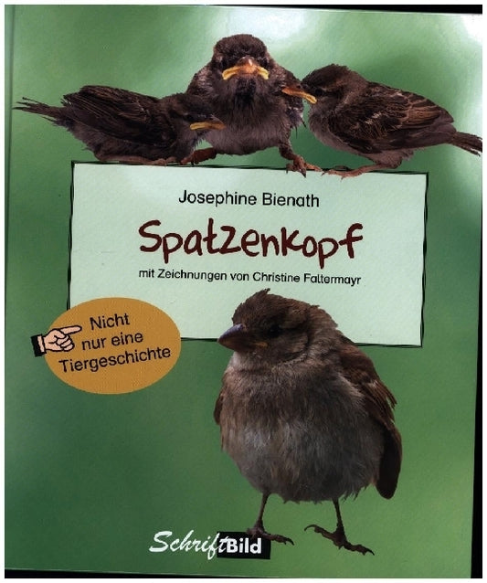 Spatzenkopf (Josephine Bienath)