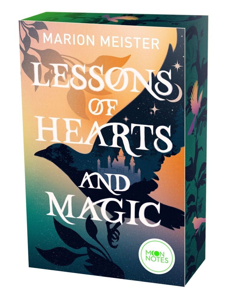 Lessons of Hearts and Magic (Marion Meister)