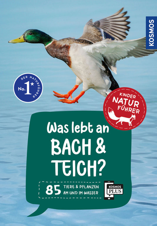 Was lebt an Bach und Teich? Kindernaturführer (Anita Van Saan)
