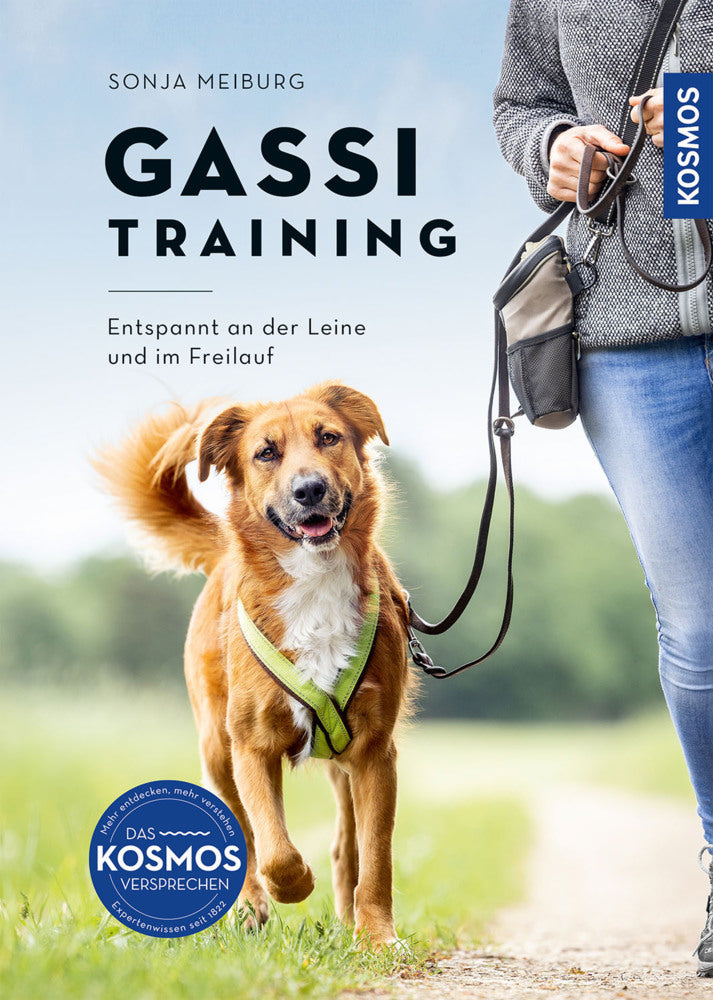 Gassi-Training (Sonja Meiburg)