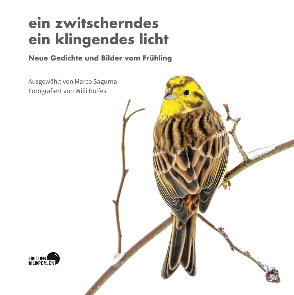 ein zwitscherndes ein klingendes licht (Michael Augustin)