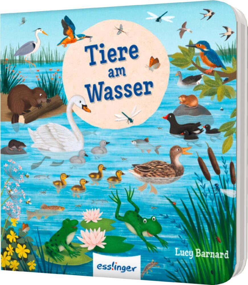 Mein erstes Natur-Wimmelbuch: Tiere am Wasser - Mini-Ausgabe (Sibylle Schumann)