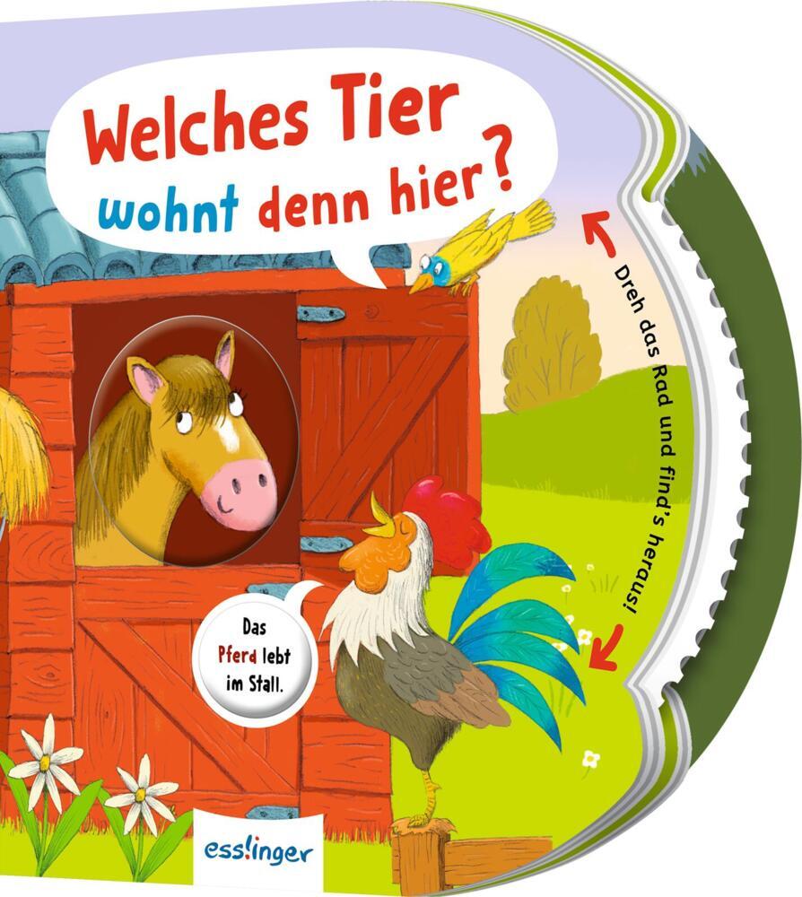 Dreh das Rad und find´s heraus!: Welches Tier wohnt denn hier? (Anja Kiel)