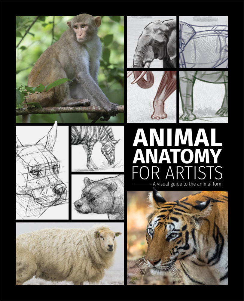Animal Anatomy for Artists (3Dtotal Publishing)