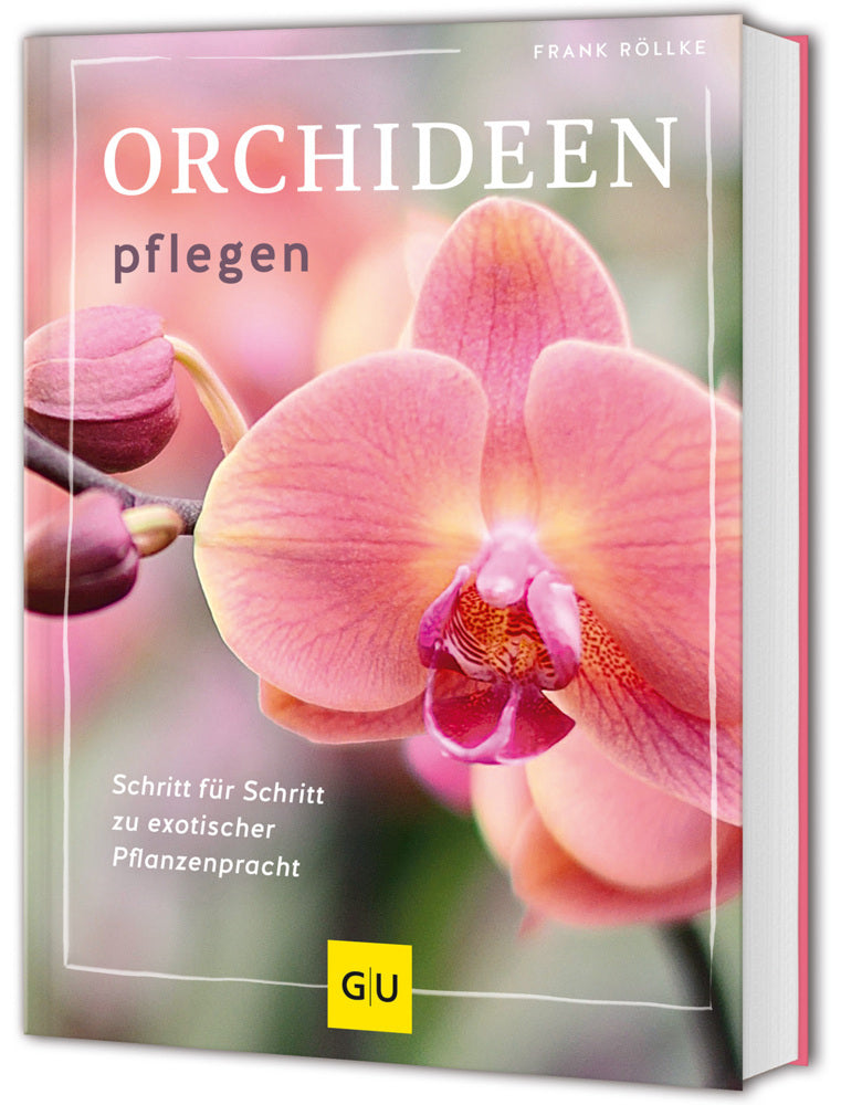 Orchideen pflegen (Frank Röllke)