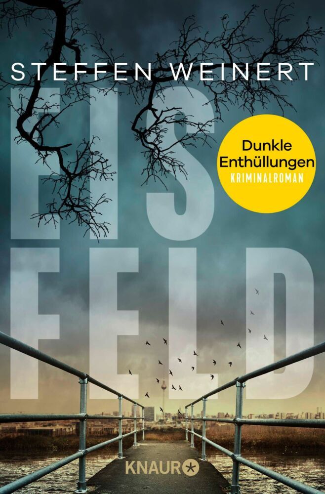 Eisfeld - Dunkle Enthüllungen (Steffen Weinert)