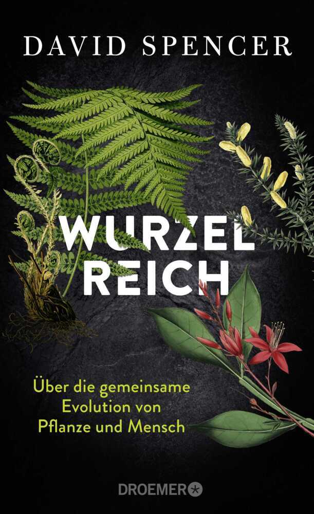 Wurzelreich (David Spencer)