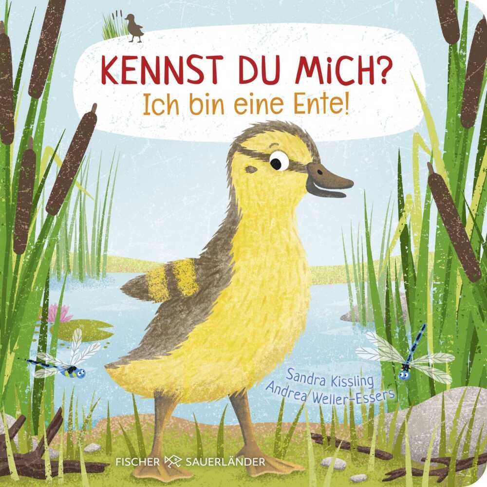 Kennst du mich? Ich bin eine Ente! (Andrea Weller-Essers)