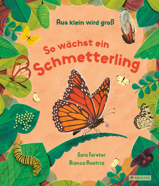 Aus klein wird groß. So wächst ein Schmetterling (Sara Forster)